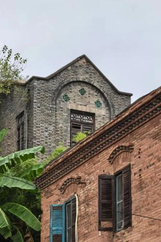 图片10